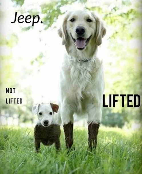 Jeep Dogs