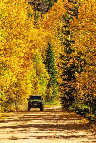 Fall Jeeping